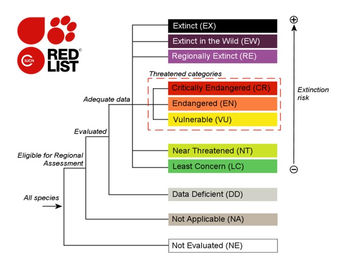 IUCN Red List Categories - Pangolin Specialist Group