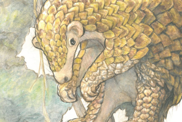 The 8 pangolin species - Pangolin Specialist Group