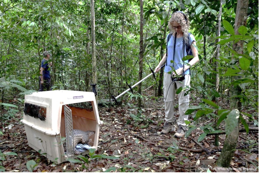 Monitoring Pangolin Populations Pangolin Specialist Group